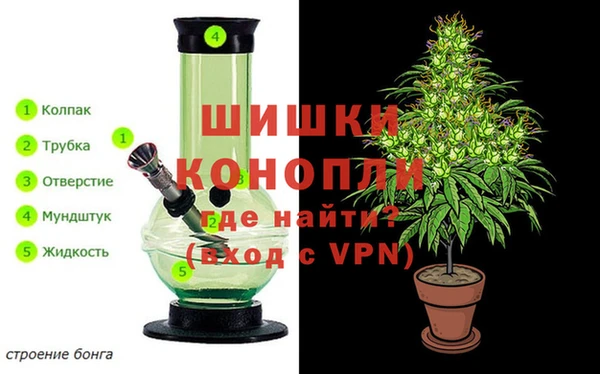амф Алексин