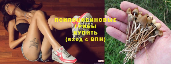 бутират Алзамай